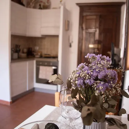 Minerva's Heart Apartamento